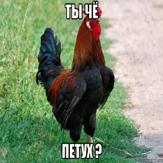 Sticker from Ладно, и так сойдёт