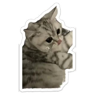 🌟 emoji Onika🐈‍⬛ Telegram sticker 3 of 10