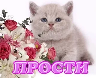 🥺 emoji Жопа Telegram sticker 2 of 120