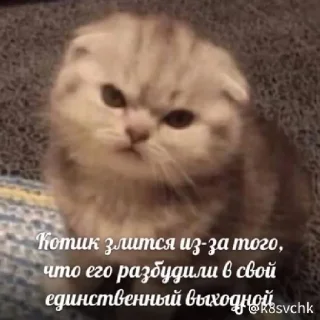 😡 emoji Китики Telegram sticker 11 of 17