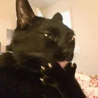 😋 emoji для важных переговоров Telegram sticker 5 of 26