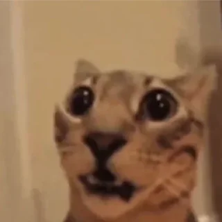 😮 emoji для важных переговоров Telegram sticker 9 of 26