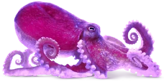 😈 emoji angelcore @angelomorphia Telegram sticker 9 of 21
