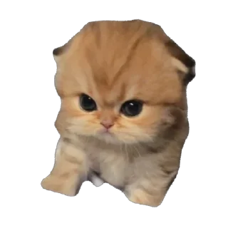 🫥 emoji Boobies Telegram sticker 13 of 20