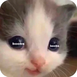 🫥 emoji Boobies Telegram sticker 6 of 20