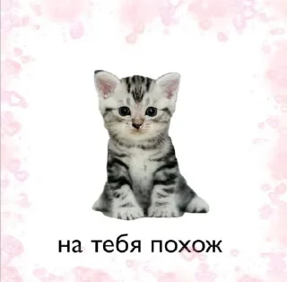 😋 emoji снупспупс😋 Telegram sticker 8 of 107