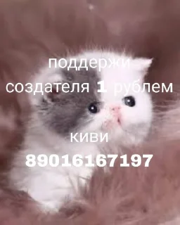 Sticker from Котейки:>