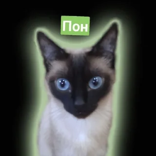 😐 emoji ChekaBratsGiros Telegram sticker 5 of 21