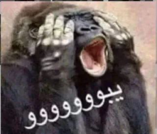 📿 emoji الشيخ أبو عمر Telegram sticker 13 of 118