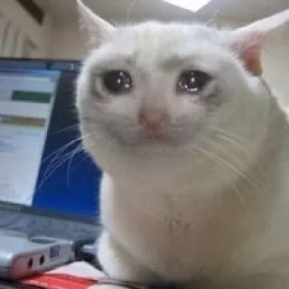 🥲 emoji Это просто дощь Telegram sticker 12 of 18