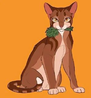 🤕 emoji Коты-воители Telegram sticker 15 of 26
