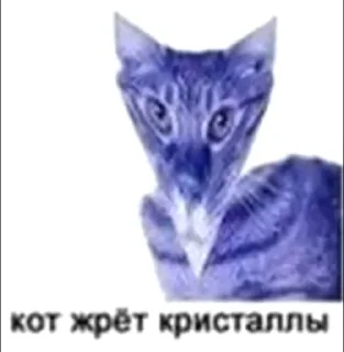 😞 emoji cat Telegram sticker 18 of 42