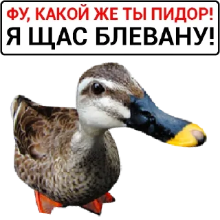 🤮 emoji поБеда Telegram sticker 23 of 40