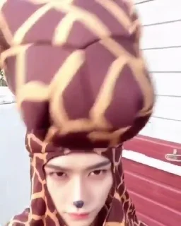 🦒 emoji нэгапьянэ Telegram sticker 16 of 41