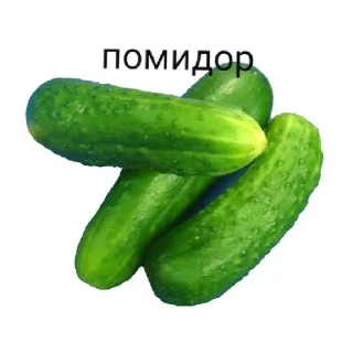 Sticker from уебищные стикеры 2.0