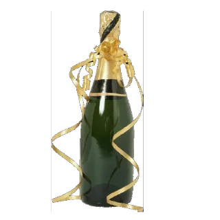 🥂 emoji Алкашка Telegram sticker 13 of 103