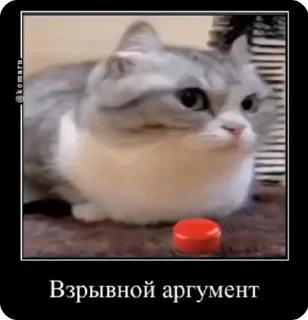 🌟 emoji Сборная солянка: @username4653 Telegram sticker 6 of 120