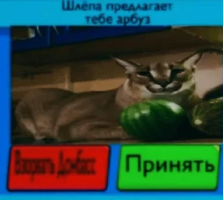 🍉 emoji Шлепа Telegram sticker 9 of 20