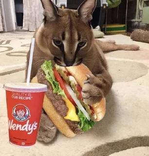 🍔 emoji Шлепа @anime_sticks Telegram sticker 17 of 25