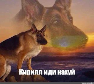 🖕 emoji Сделано Кирюшей Telegram sticker 15 of 26