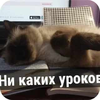 ☺ emoji Пушка💗-🔫 Telegram sticker 7 of 34