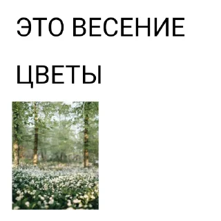 💐 emoji ЛАНДЫШИ😍 Telegram sticker 15 of 17