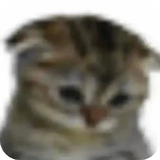 🐱 emoji обрубки Telegram sticker 9 of 120