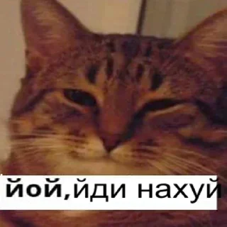 Sticker from Лалала