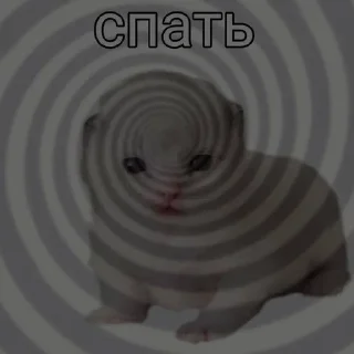 🌟 emoji кошьки Telegram sticker 17 of 91