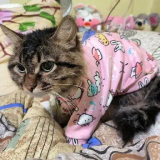 🌟 emoji Счастливая семёрка Telegram sticker 5 of 19