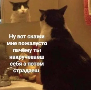 Sticker from пікчі для милий розмов