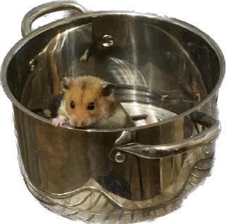 🍜 emoji буба хомяк 🐹 Telegram sticker 13 of 26
