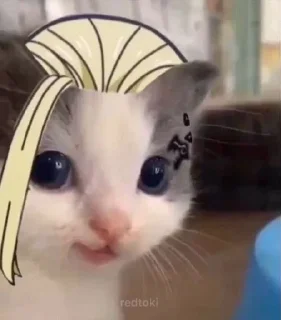 🌟 emoji Котики Telegram sticker 5 of 15
