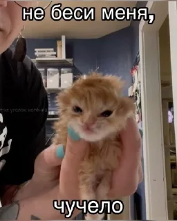 😡 emoji Hyinya ot Tangy 10 Telegram sticker 5 of 120
