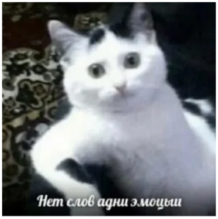 Sticker from С душой