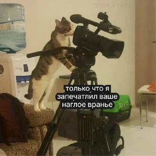 🌟 emoji Каждый день одно и то же Telegram sticker 23 of 103