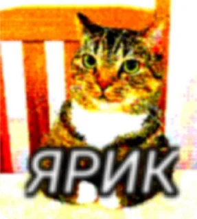 🌟 emoji Для важностей Telegram sticker 21 of 101