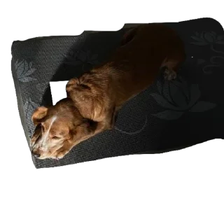 💪 emoji собака барабака Telegram sticker 18 of 29