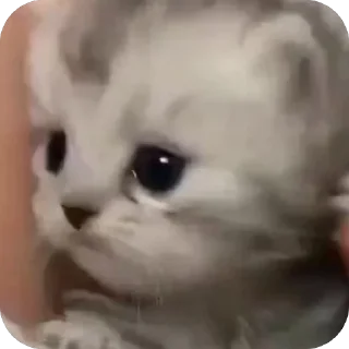 🫥 emoji 😿 by:@x1nxli Telegram sticker 1 of 22