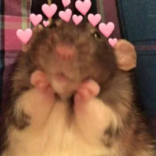 💗 emoji ТрЭш🤡 Telegram sticker 16 of 27