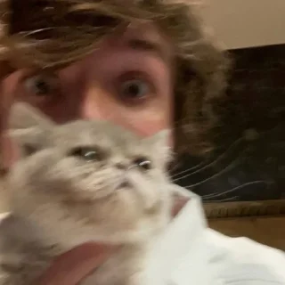 Sticker from Autistic cat