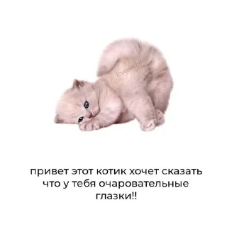 🌟 emoji Люблю Диму Telegram sticker 13 of 54