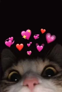 🌟 emoji Люблю Диму Telegram sticker 6 of 54