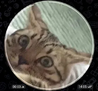 Sticker from ася