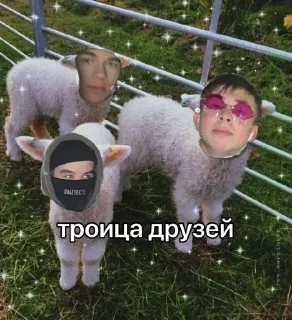 👨‍👨‍👦 emoji солевые-молодые Telegram sticker 24 of 80