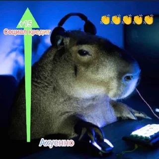 👏 emoji Купиберас Telegram sticker 7 of 51