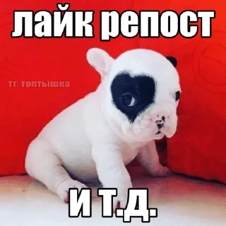🌟 emoji рофлянчик от лизы Telegram sticker 18 of 120
