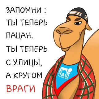 😤 emoji Наш Челябинск @nashchelyabinsk Telegram sticker 11 of 24