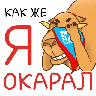 😱 emoji Наш Челябинск @nashchelyabinsk Telegram sticker 13 of 24