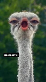 ✝️ emoji ляляля Telegram sticker 12 of 117